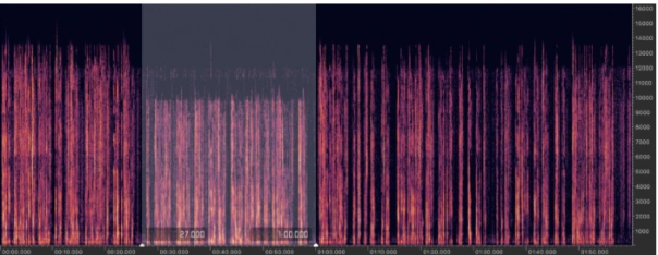 Deepfake audio, what is it and how do we detect it